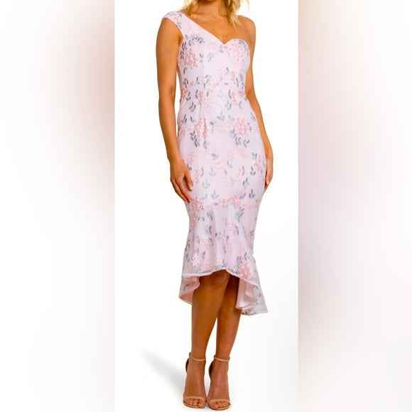 Bariano Gabriella Blush Floral Embroidered One-Shoulder Hi-Low Dress