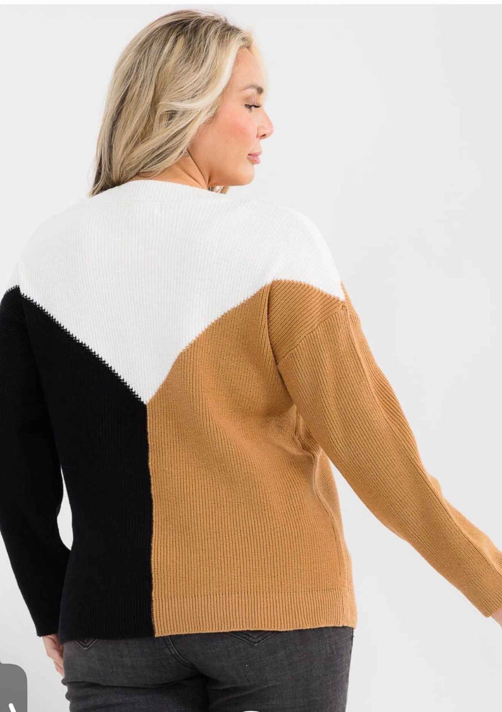 Plus Size Long Sleeve Ribbed Colorblock Pullover Sweater